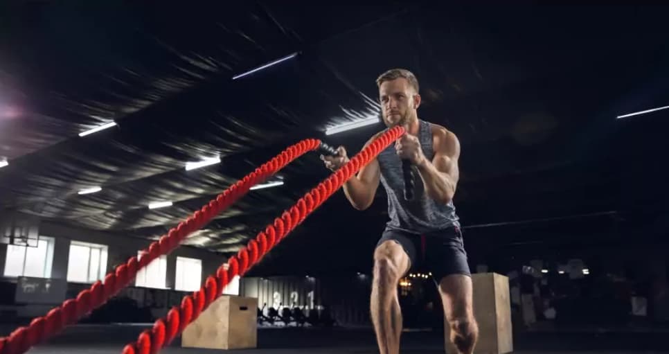 Fitness Studio Software