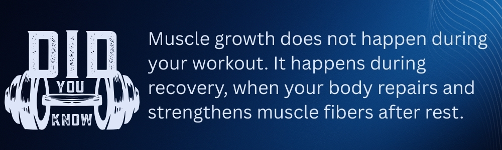 Muscle growth happens during recovery when the body repairs after rest
