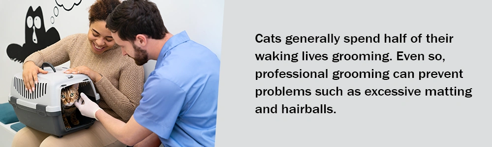 Cats Generally Spend Half Of Their Waking Lives Grooming