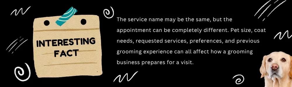 The service name may be the same, but the appointment can be completely different. Pet size, coat needs, requested services, preferences, and previous grooming experience can all affect how a grooming business prepares for a visit