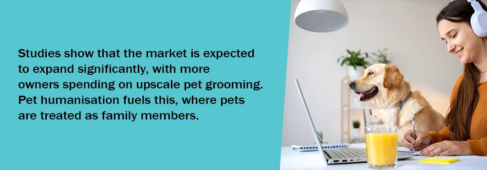 Studies Show That The Market Is Expected To Expand Significantly
