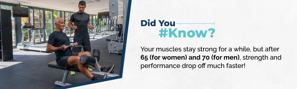 Your Muscles Stay Strong For A While